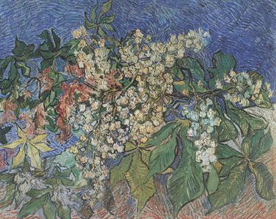 Vincent Van Gogh Blossoming Chestnut Branches (nn04)